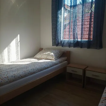 Kuca Lara 2 Banja Vrujci